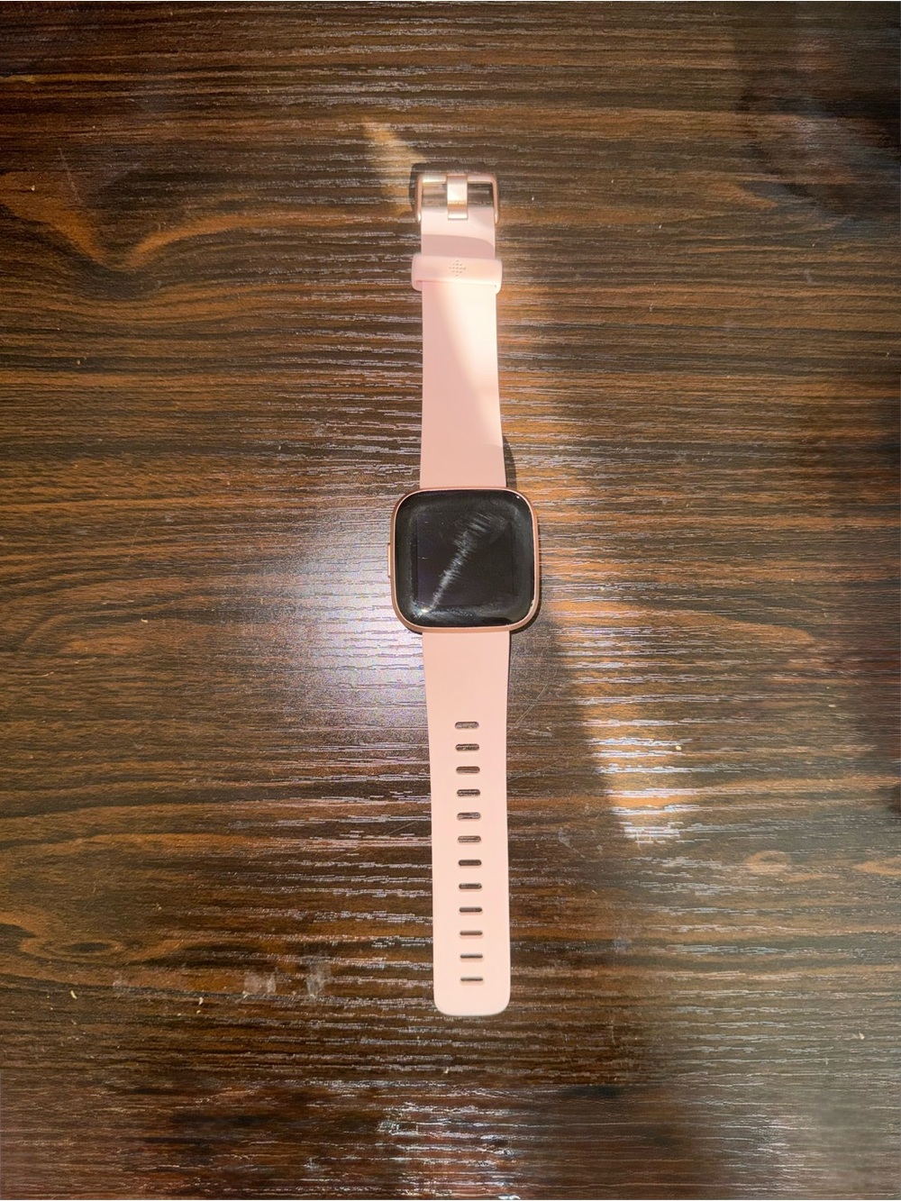 Fitbit Versa 2 Aluminum Case with Bronze Watch Band